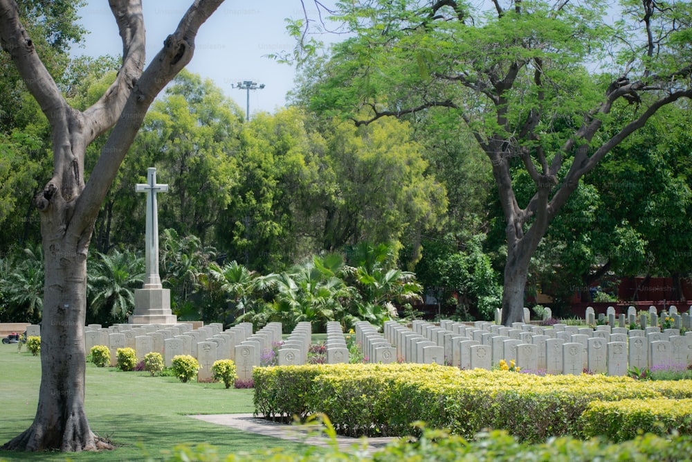 un cimitero con una croce al centro