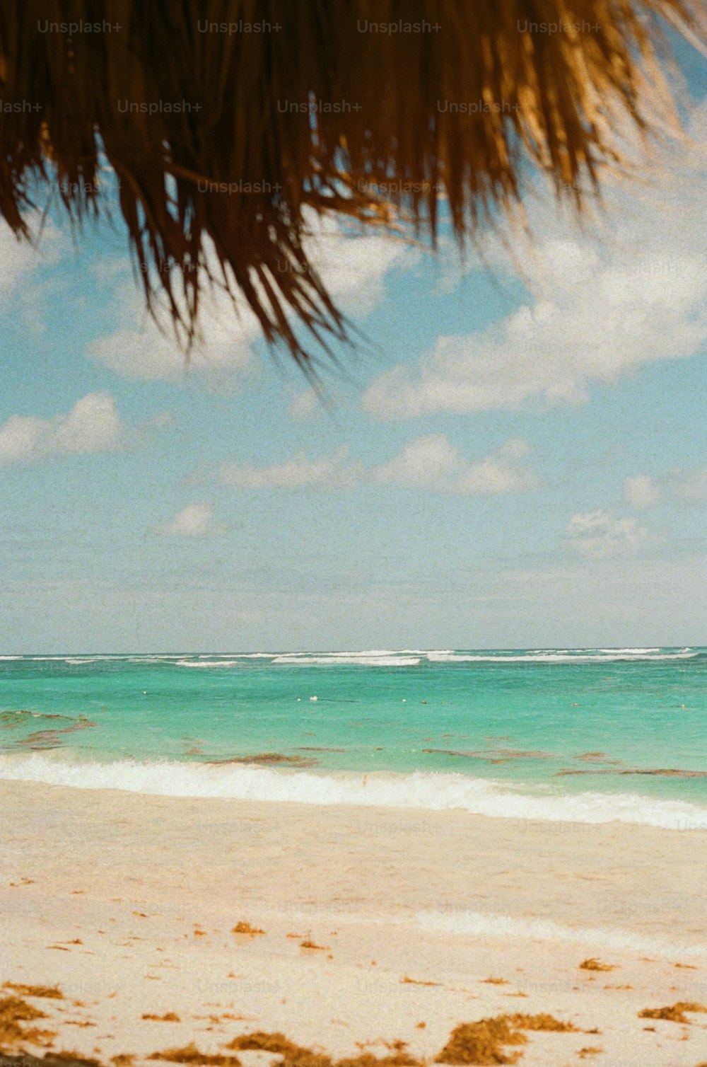 a man walking on the beach carrying a surfboard