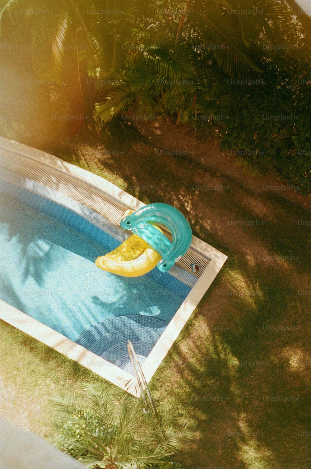 파란색 덮개가있는 수영장에 떠있는 바나나
