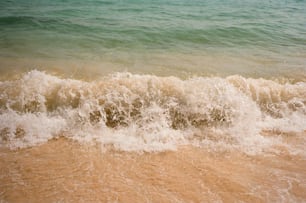 Une vague arrive sur le rivage de la plage