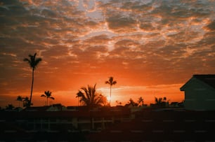 the sun is setting over a city with palm trees