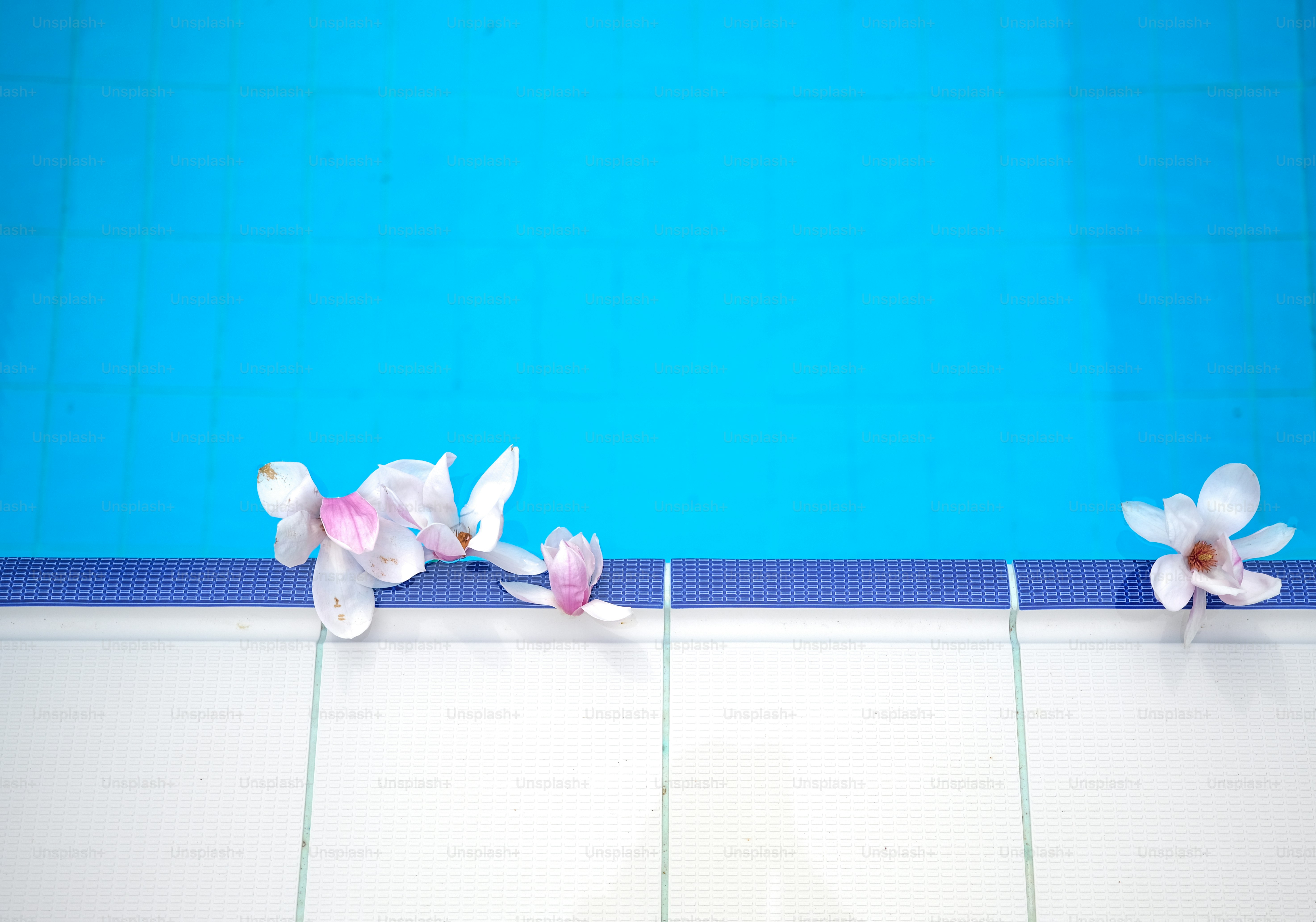 a swimming pool with flowers on the edge of the pool