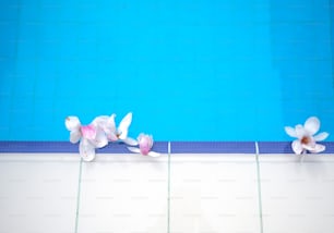 ein Schwimmbad mit Blumen am Rand des Pools