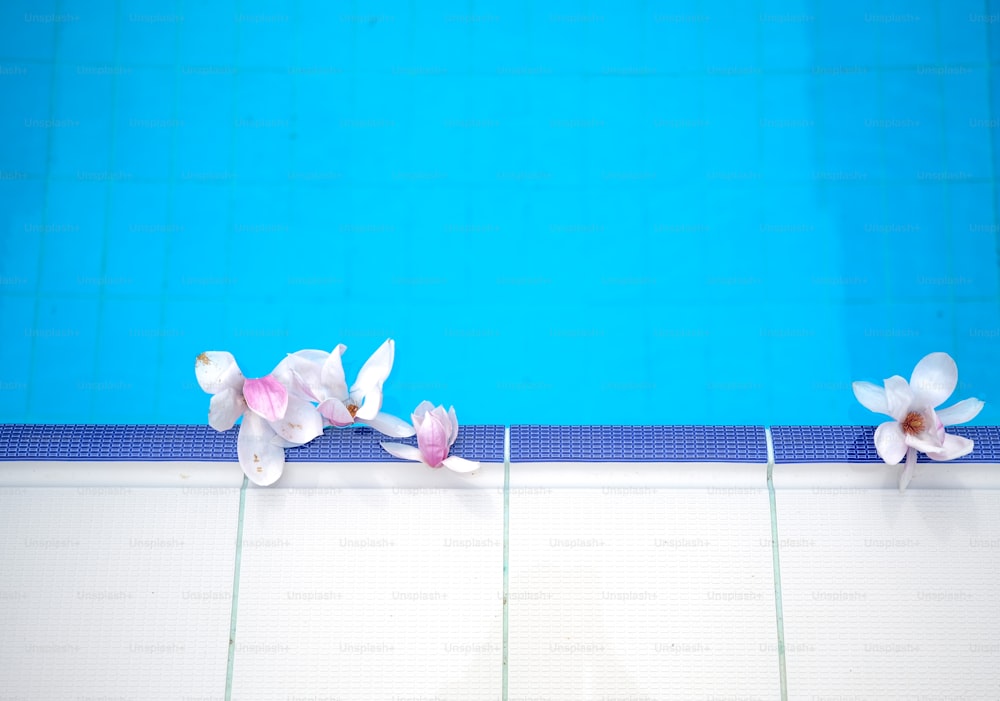 a swimming pool with flowers on the edge of the pool