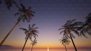 palm trees line the beach as the sun sets