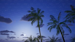 una luna piena e alcune palme di notte