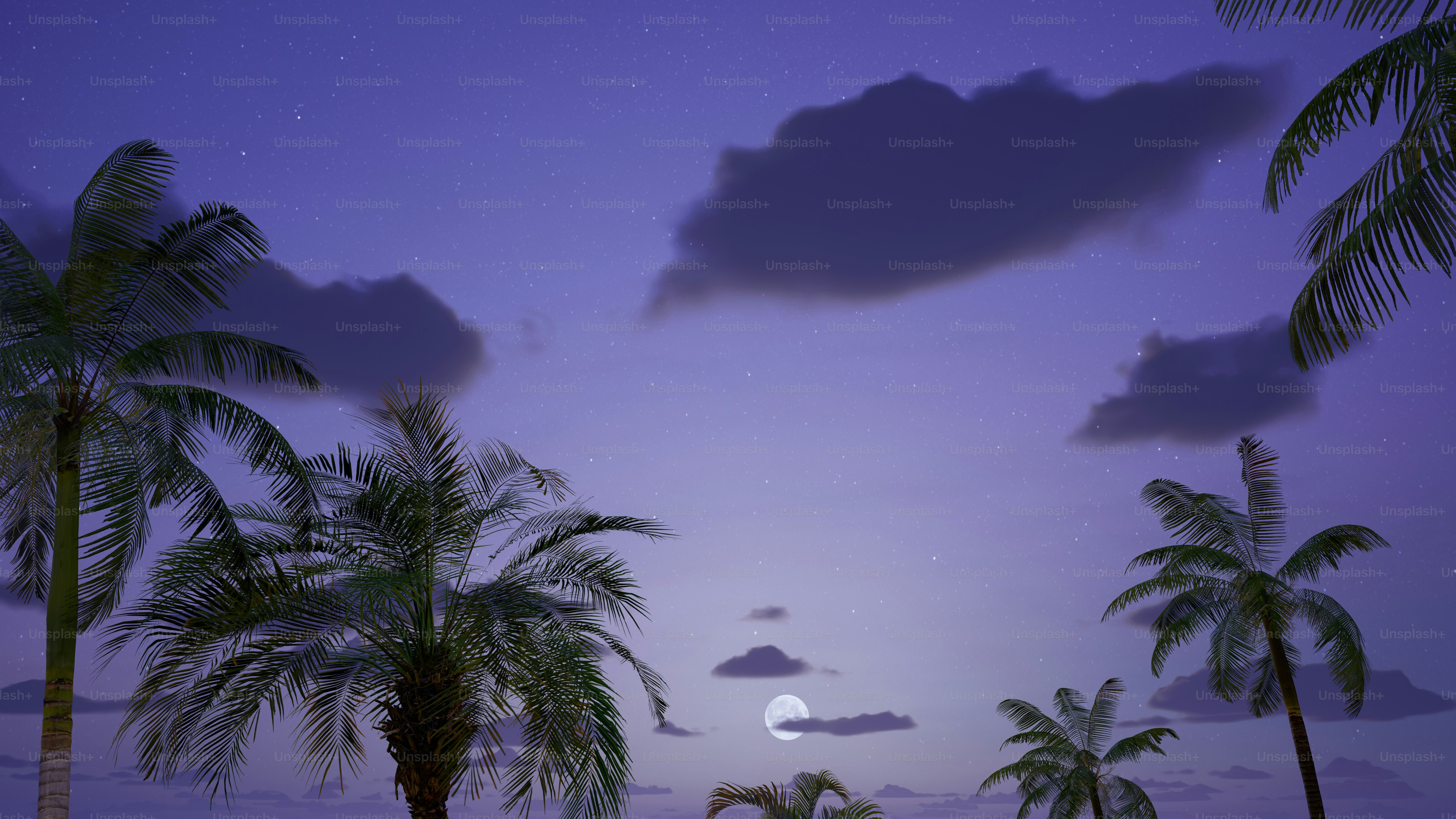 Une pleine lune est vue derrière les palmiers