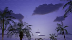 a full moon is seen behind palm trees