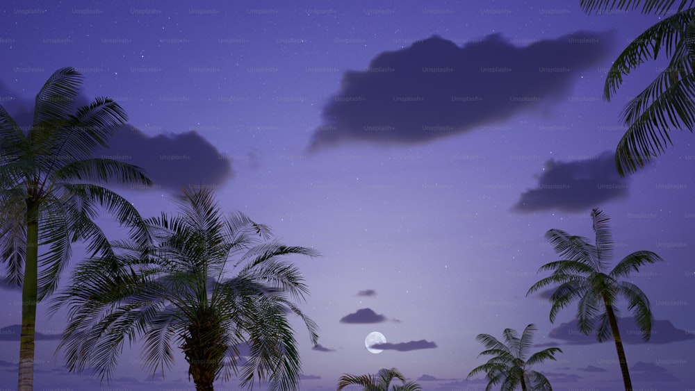a full moon is seen behind palm trees