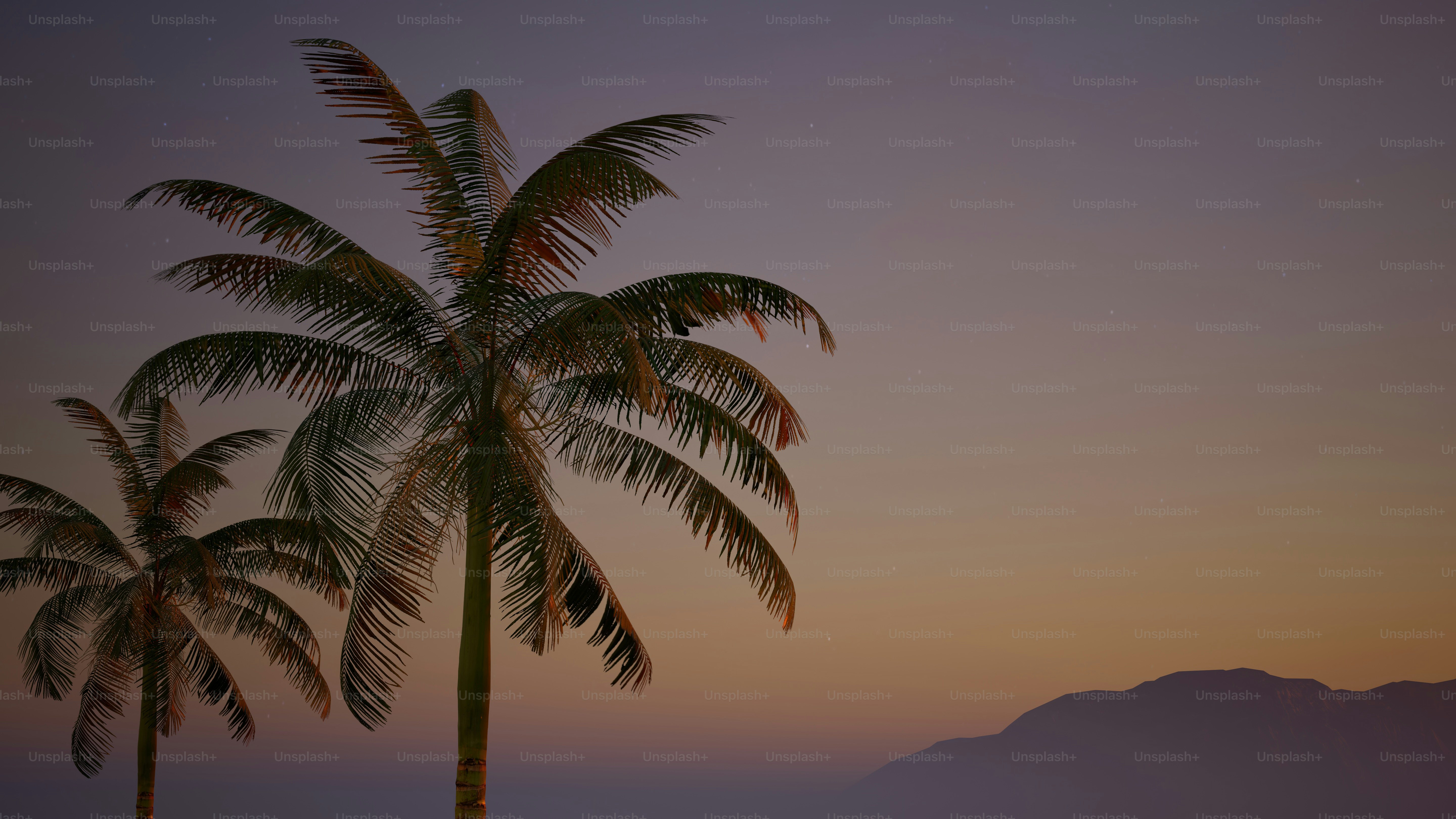 a couple of palm trees sitting next to each other