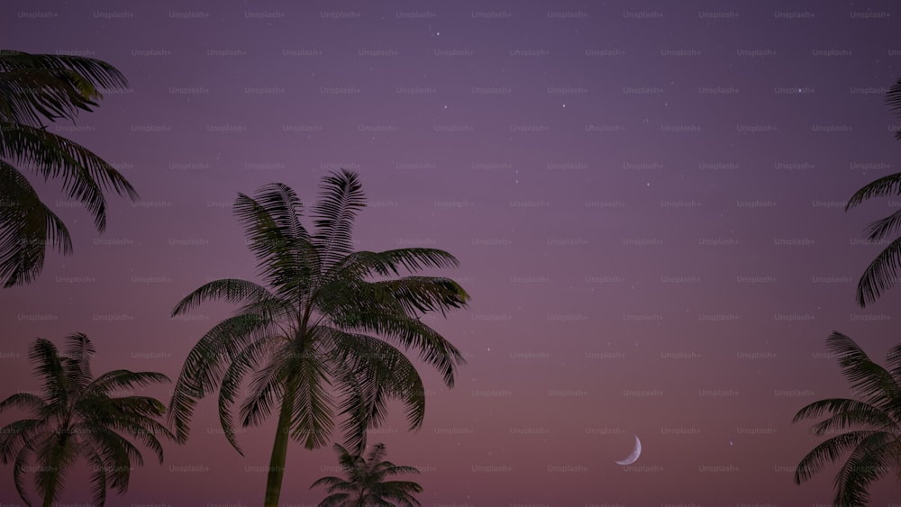 palm trees and the moon in a purple sky