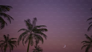 palm trees and the moon in a purple sky