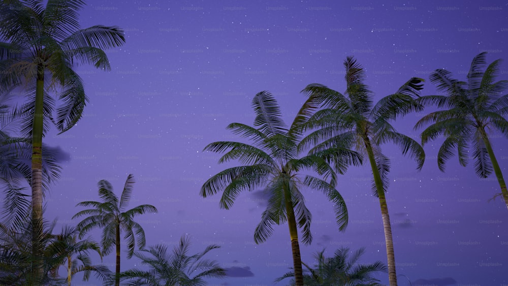 a group of palm trees under a purple sky