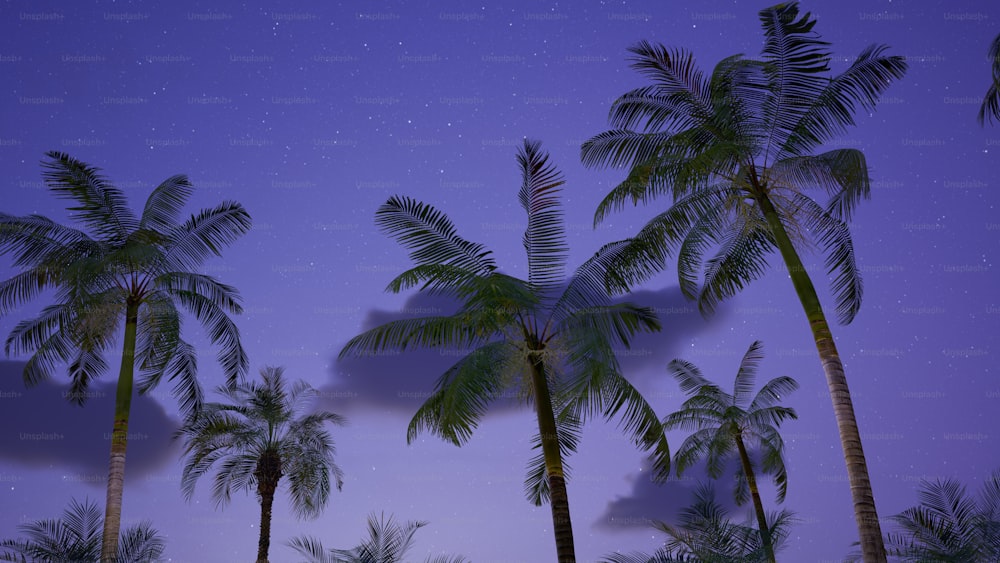 um grupo de palmeiras sob um céu roxo
