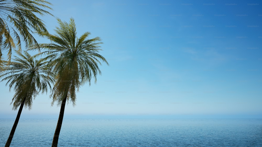 un paio di palme sedute sulla cima di una spiaggia