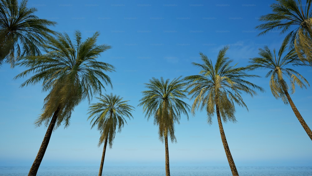 Una hilera de palmeras frente a un cuerpo de agua