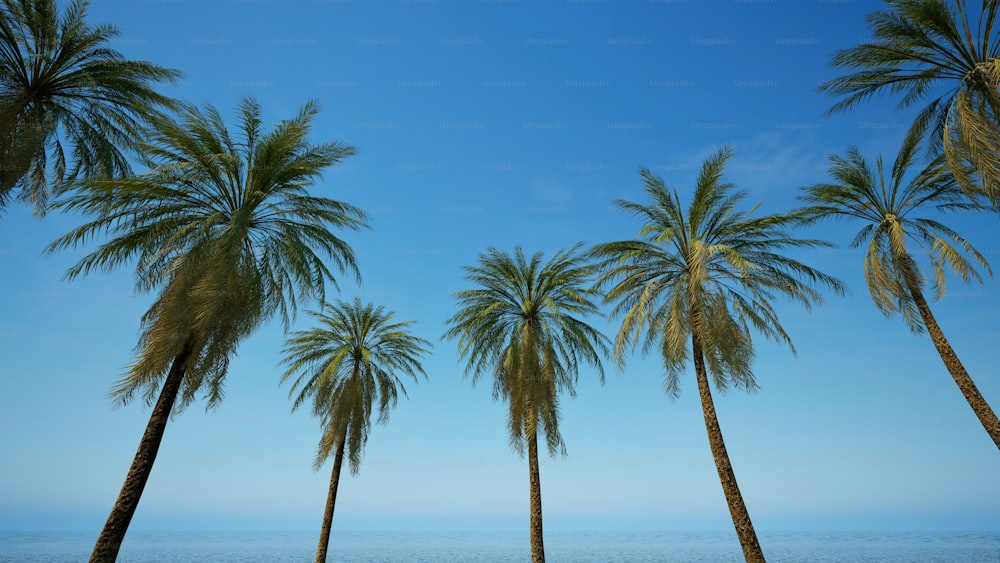 a row of palm trees in front of a body of water
