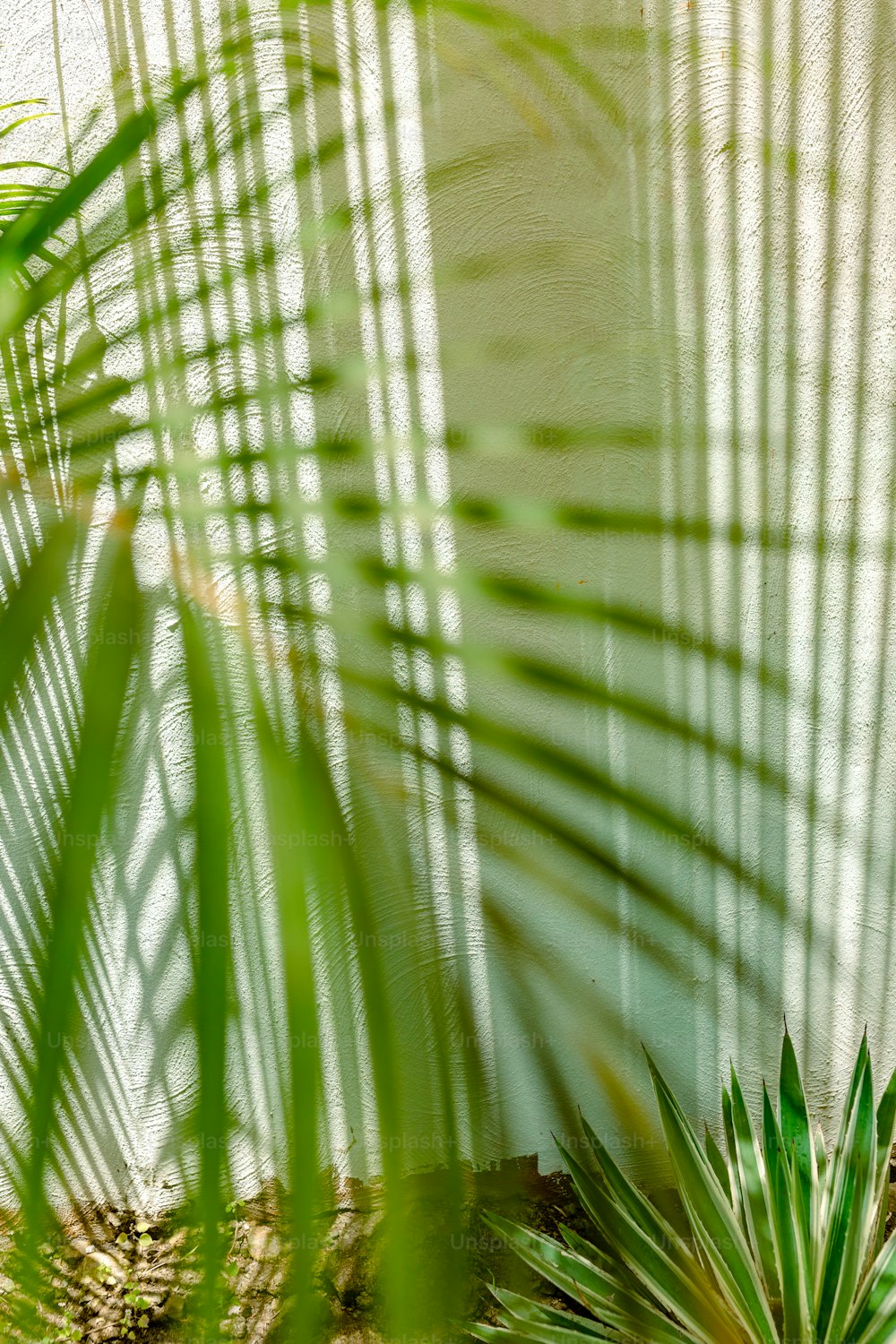 Un pájaro está sentado en una repisa cerca de una palmera