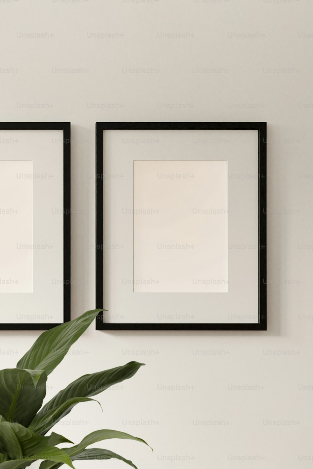 two black and white frames on a wall above a potted plant