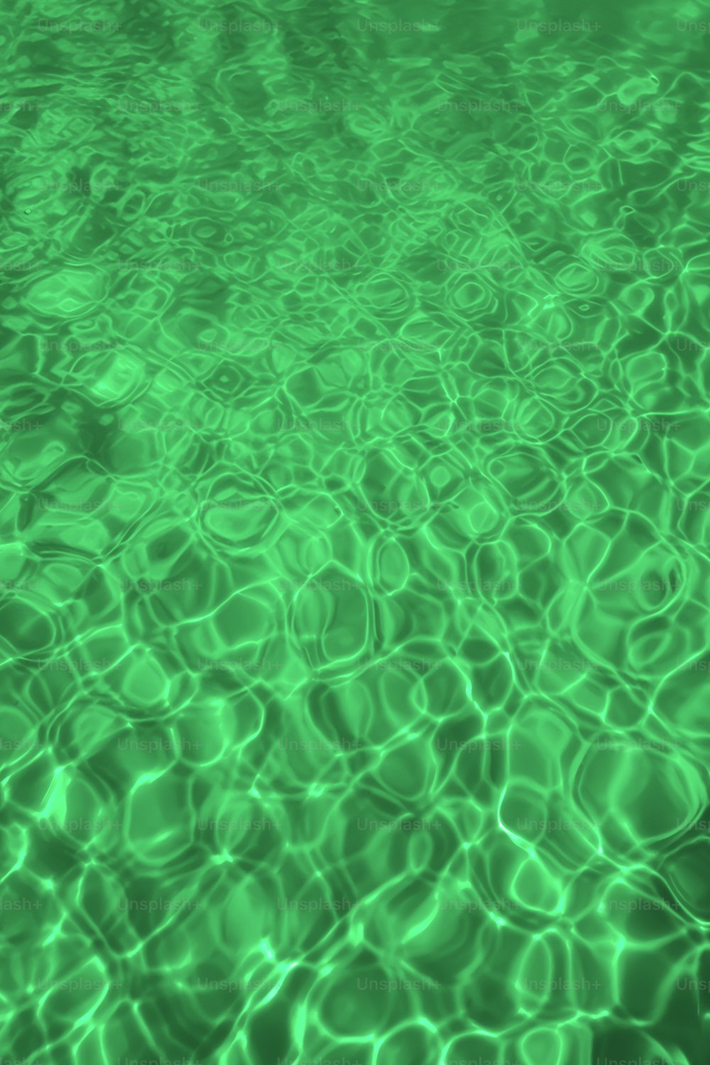 녹색 물과 잔물결이있는 수영장