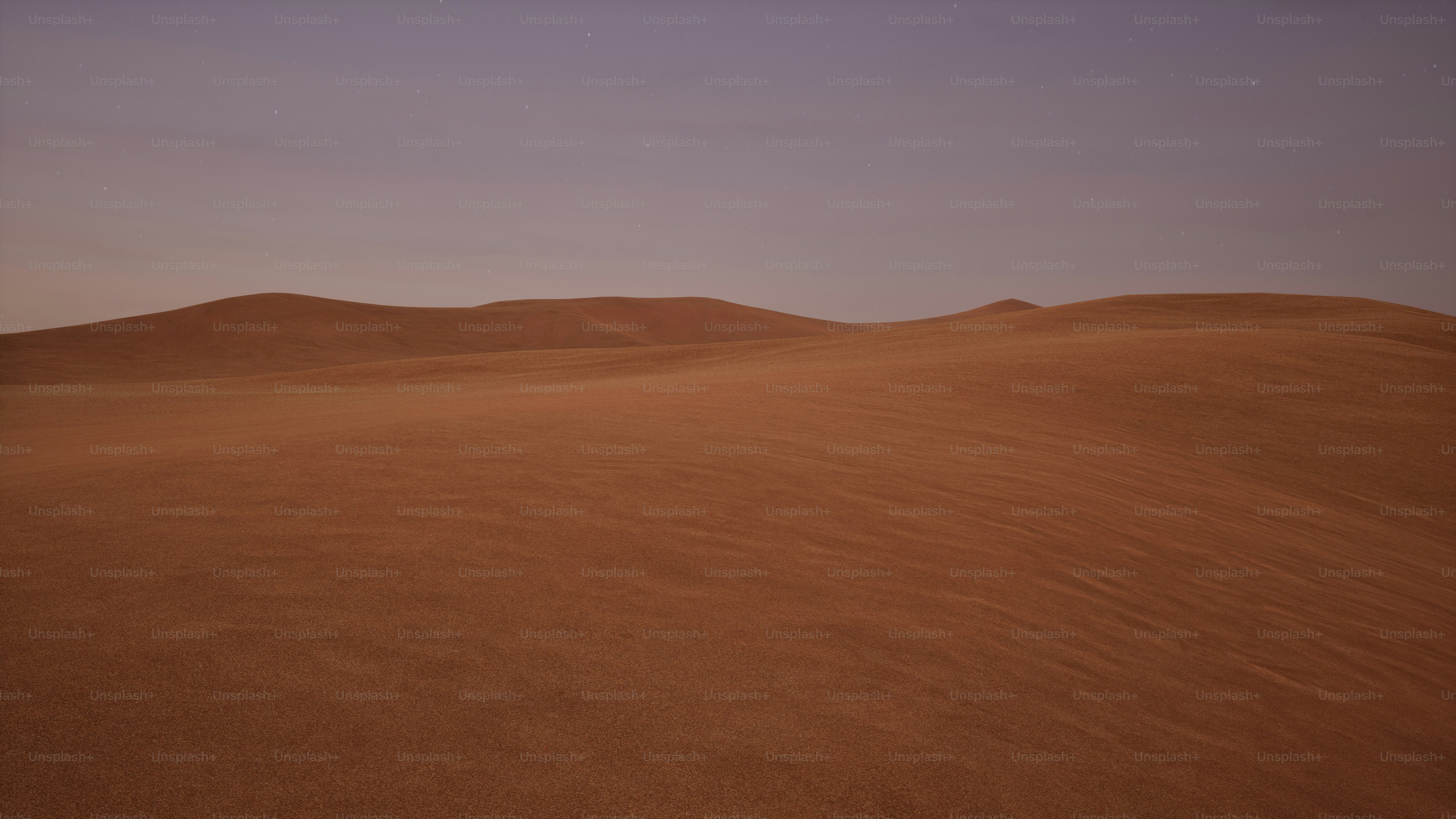 premium_photo-1681065485359-8556ba95111f?ixid=M3wxMjA3fDB8MXxzZWFyY2h8M3x8JUQ3JTk0JUQ3JUE0JUQ3JUE5JUQ3JUE4JUQ3JUFBJTIwJUQ3JUE3JUQ3JUE4JUQ3JUE3JUQ3JUEyfGVufDB8fHx8MTc0MDM2NjAyNHww\u0026ixlib=rb-4.0.3