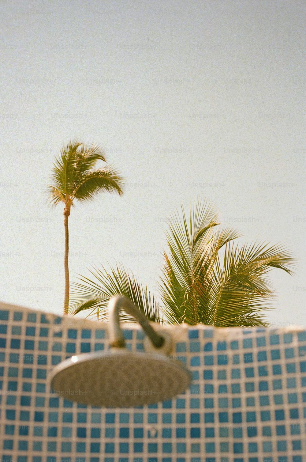 Una vasca da bagno piastrellata blu e bianca con una palma sullo sfondo