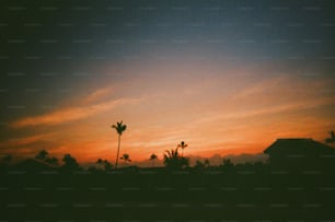 Ein Sonnenuntergang mit Palmen im Vordergrund