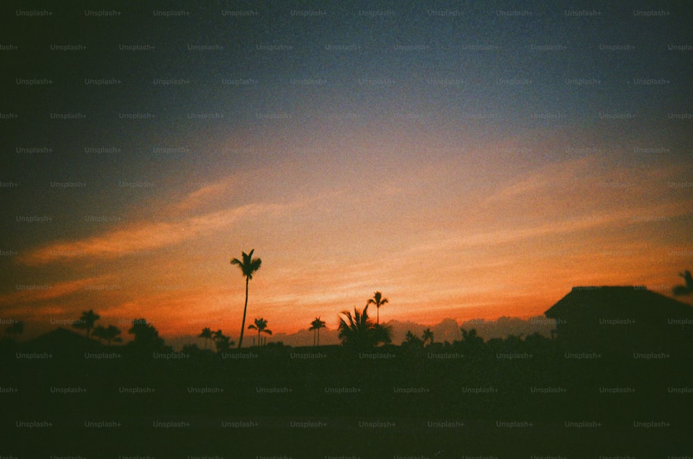 Una puesta de sol con palmeras en primer plano
