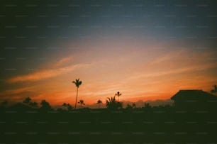 a sunset with palm trees in the foreground