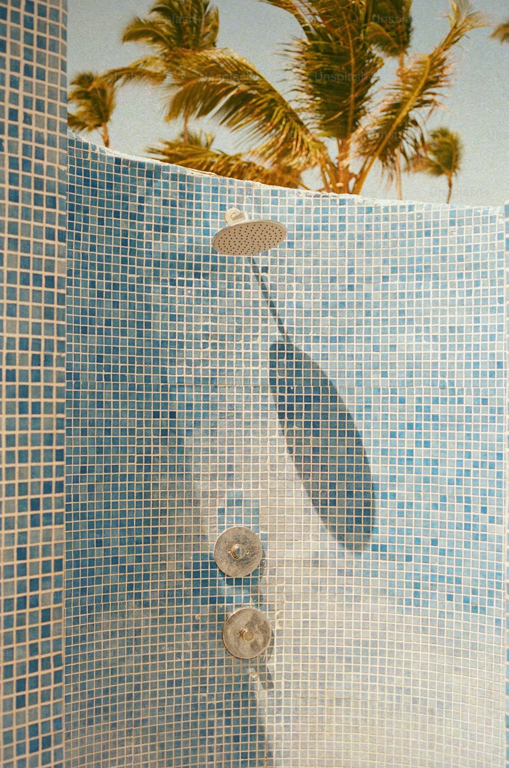 eine geflieste Dusche mit einer Palme im Hintergrund