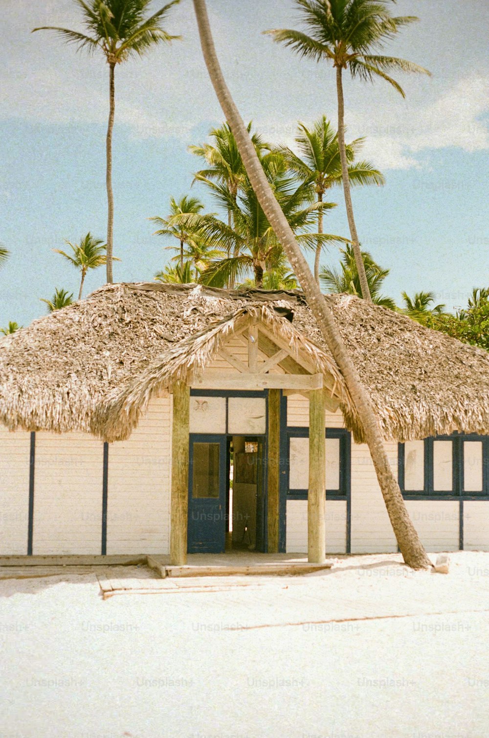 a hut with a thatched roof and palm trees