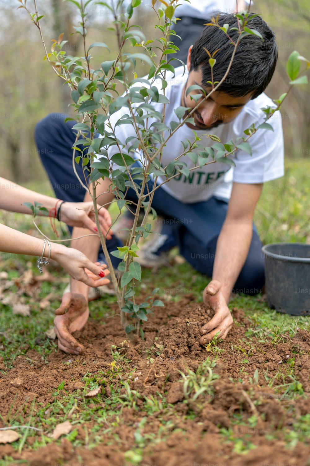 a couple of people kneeling down to plant a tree