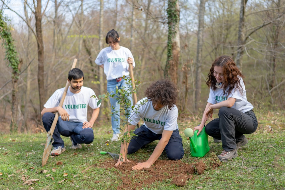 a group of people planting trees in the woods