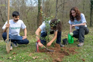 um grupo de pessoas plantando árvores na floresta