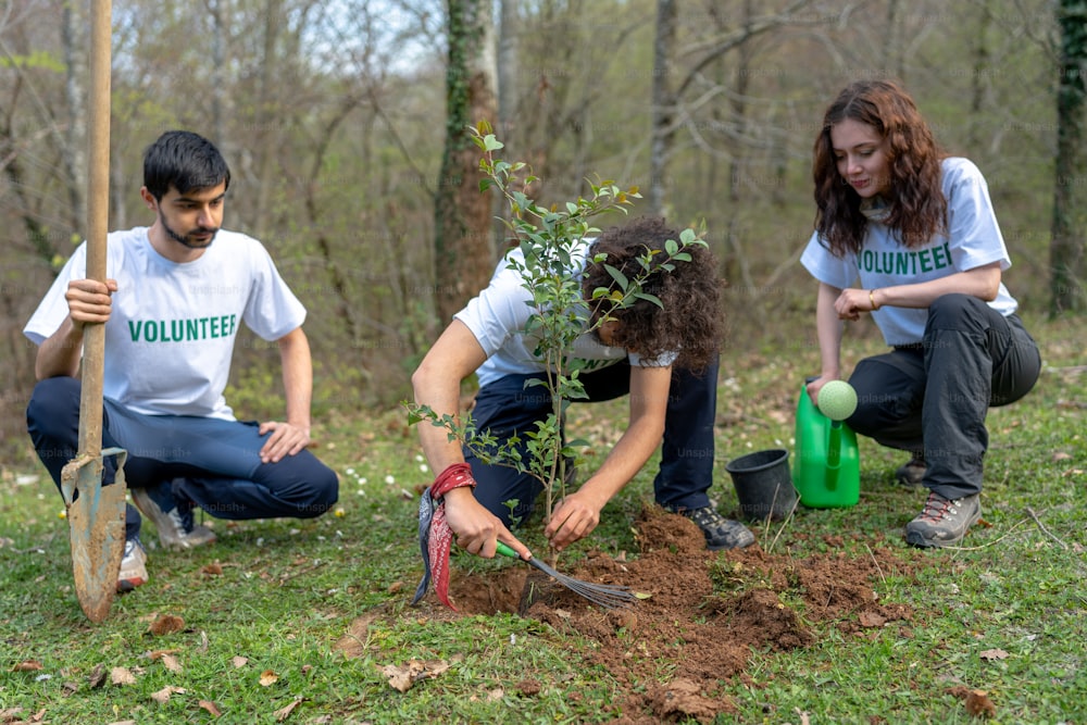 a group of people planting trees in the woods