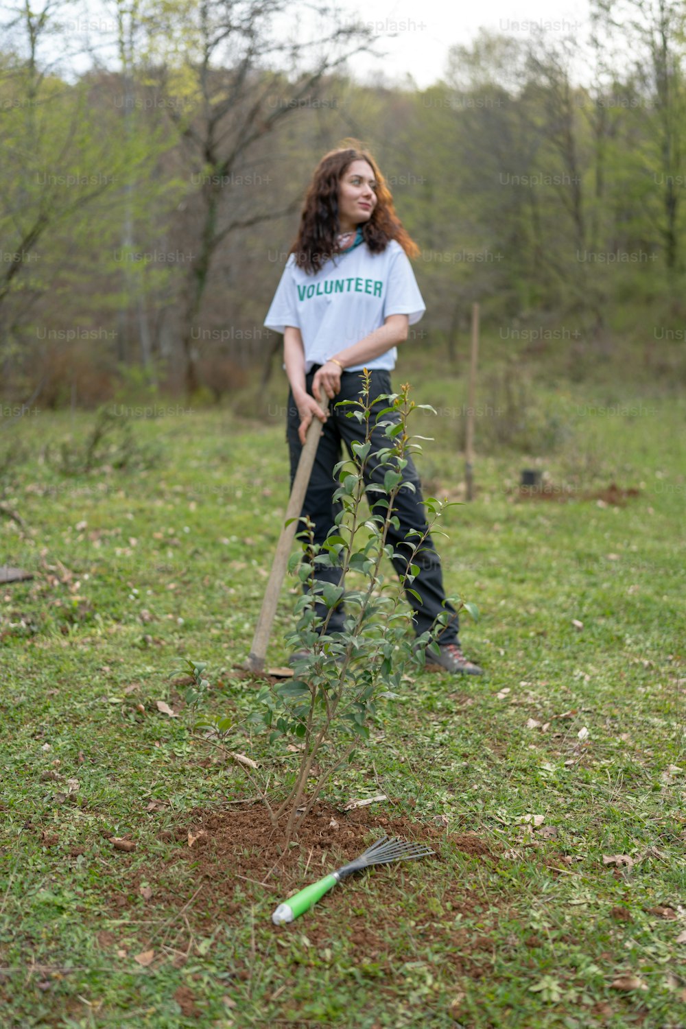 Eine Frau hält eine Schaufel in der Hand und gräbt einen Baum