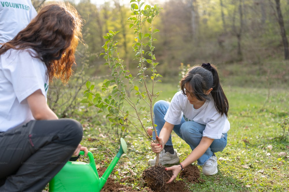 two women are planting a tree in a field