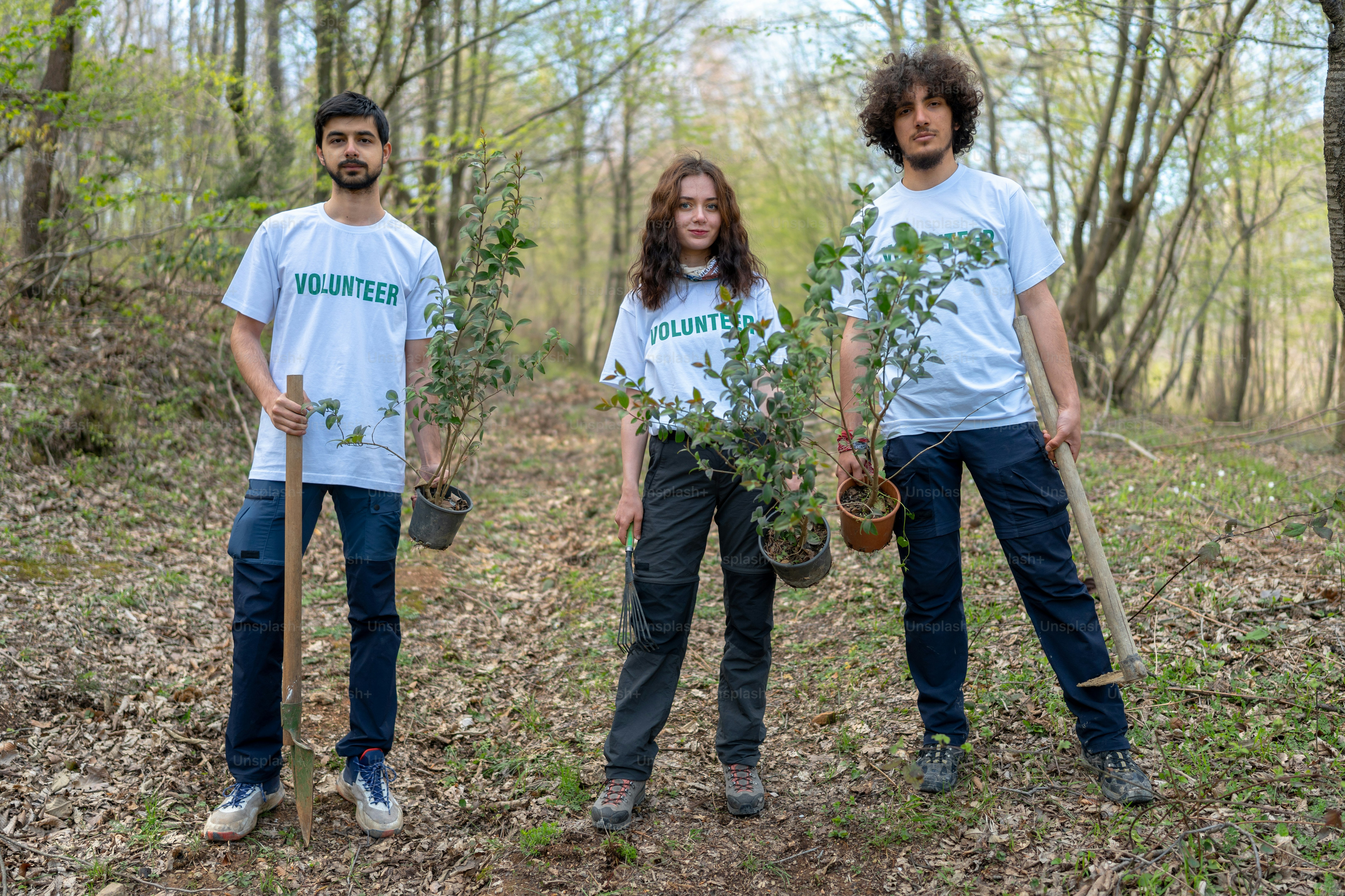 three people standing in the woods holding trees