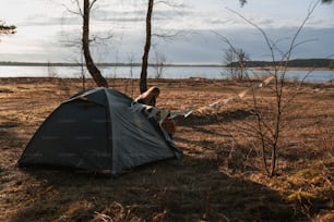 une tente dressée à côté d’un plan d’eau