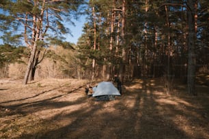 Una tienda de campaña levantada en medio de un bosque
