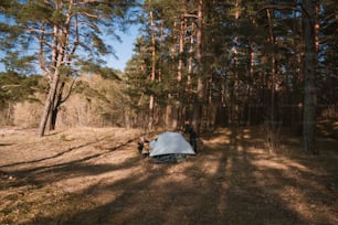 a tent pitched up in the middle of a forest