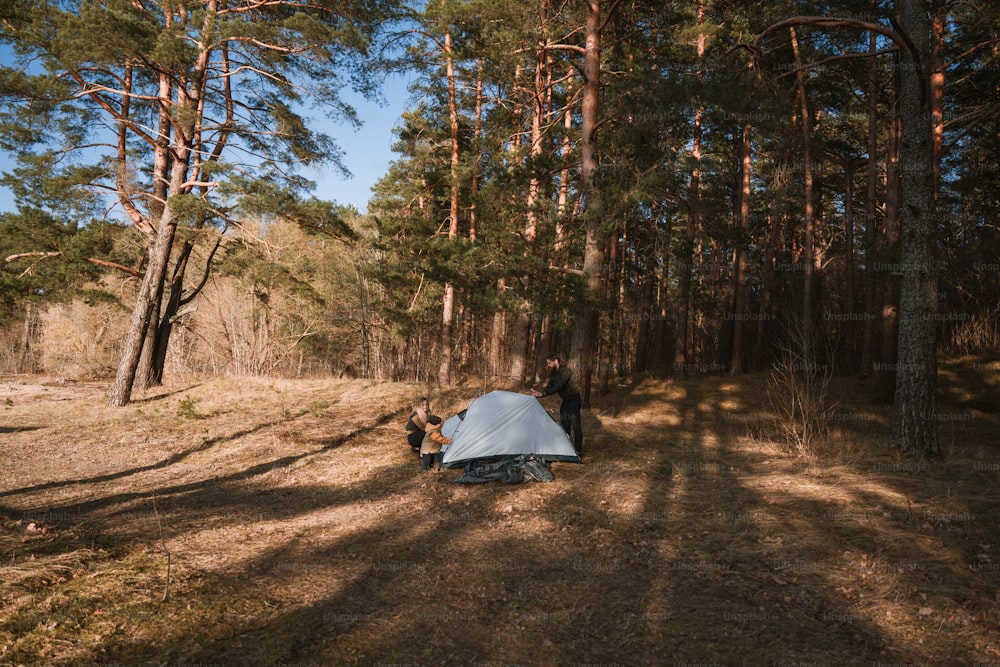 a tent pitched up in the middle of a forest