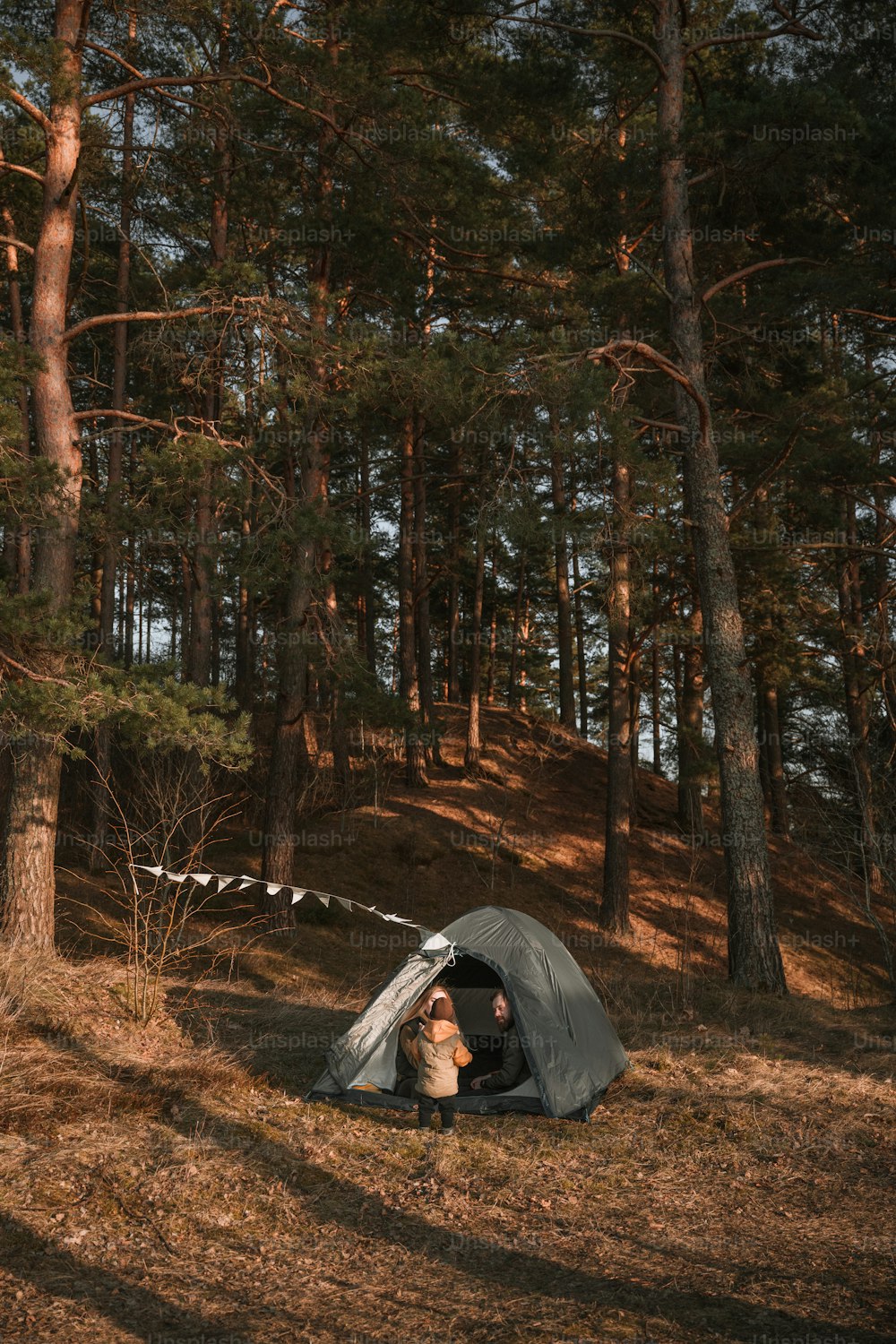 森の中のテントの中に座っている人