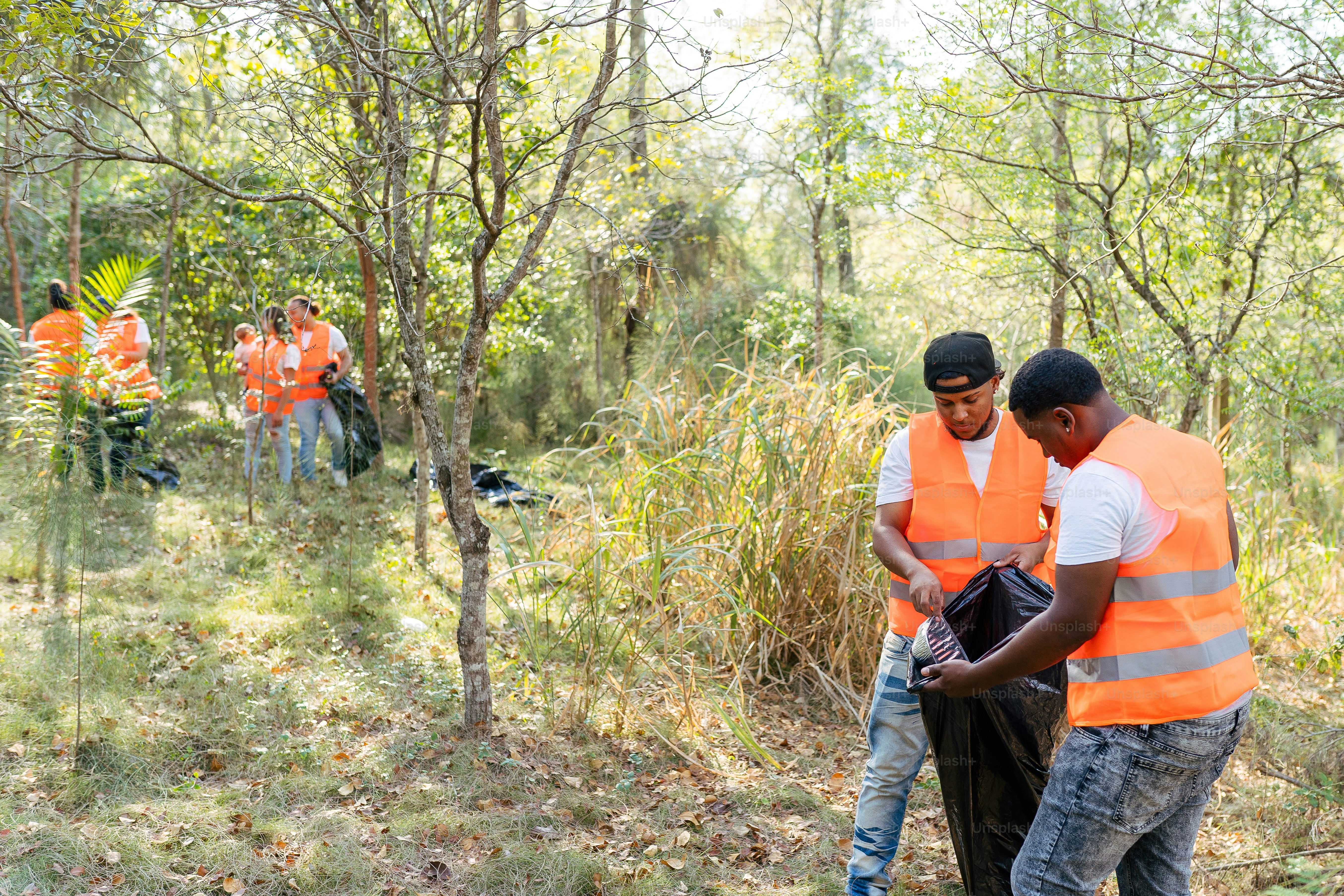 Un groupe d’hommes en gilets orange debout dans une forêt