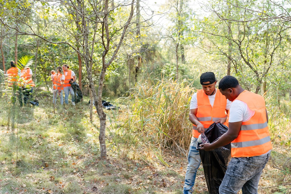 a group of men in orange vests standing in a forest