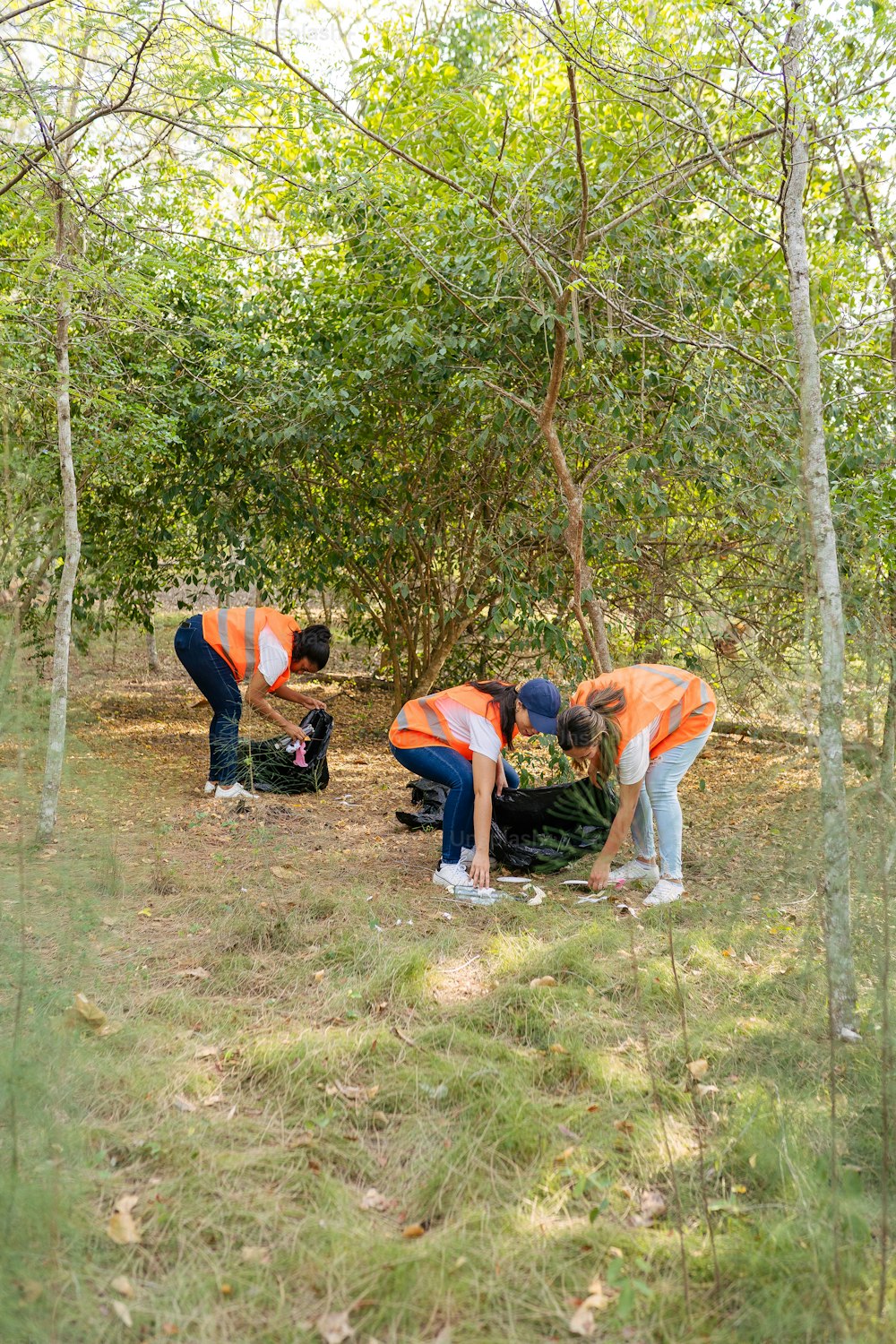 주황색 조끼를 입은 한 무리의 사람들이 나무에서 일하고 있다