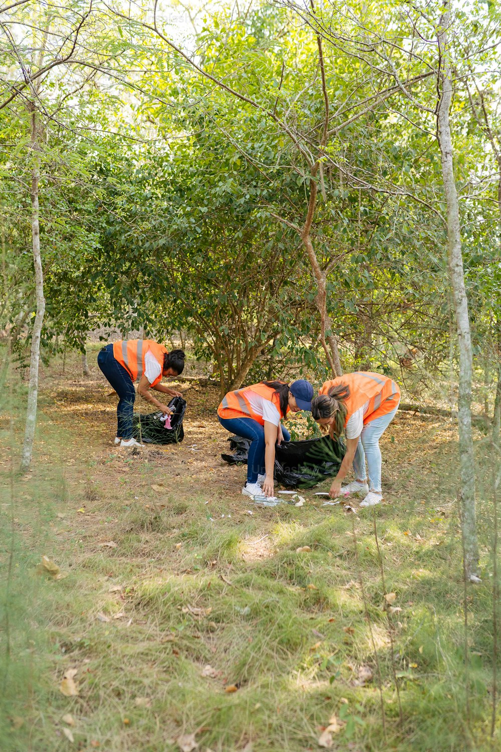 Un groupe de personnes en gilets orange travaillant sur un arbre