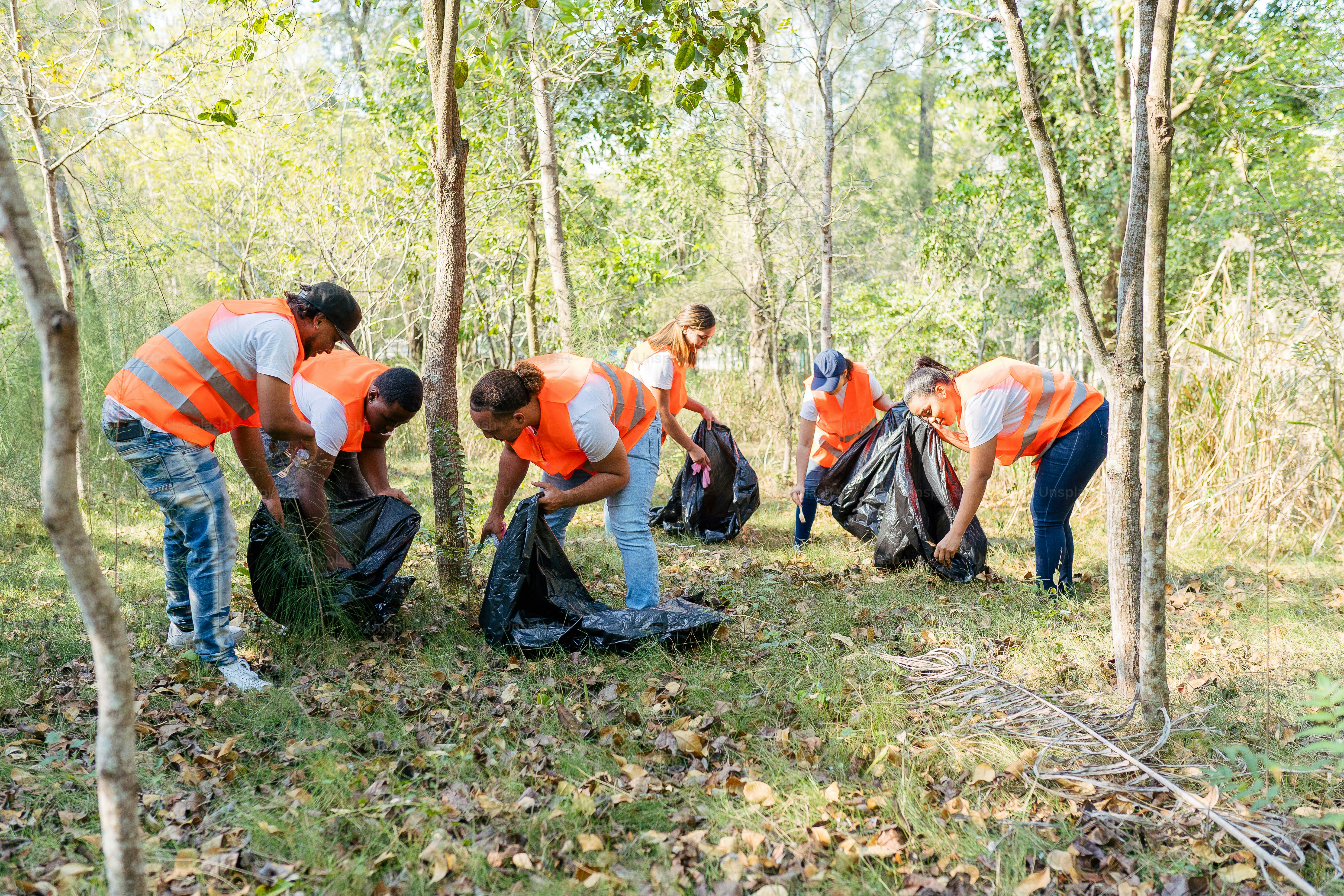 a group of people picking up trash in the woods