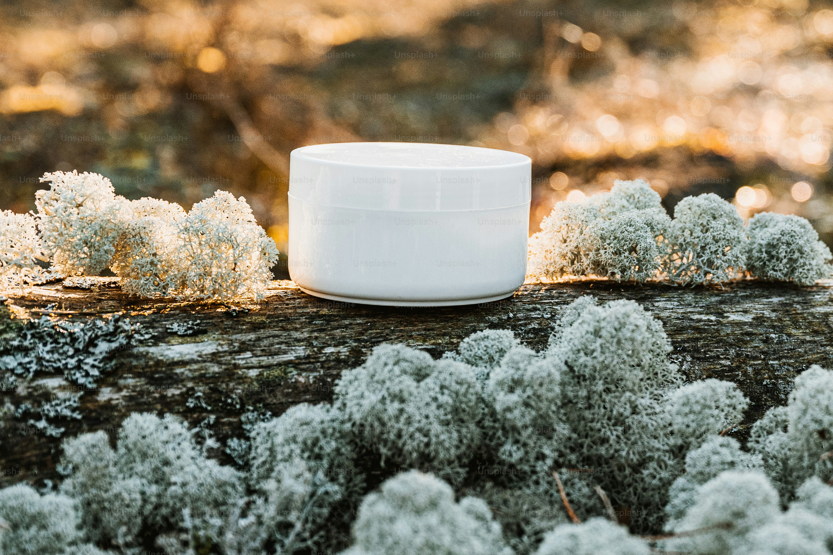 a white container sitting on top of a tree trunk