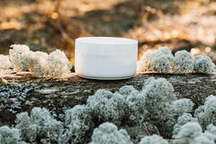 a white container sitting on top of a tree trunk